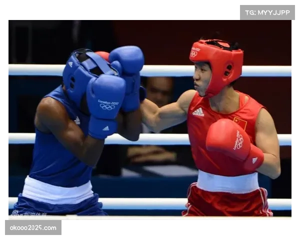 英国拳击委员会更新安全协议，脑震荡检测更严格